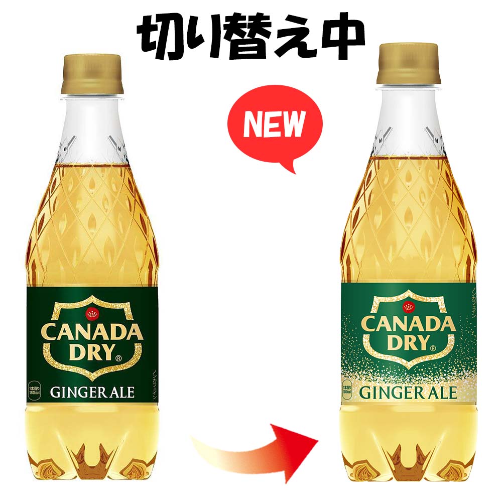 カナダドライ ジンジャーエール 500ml