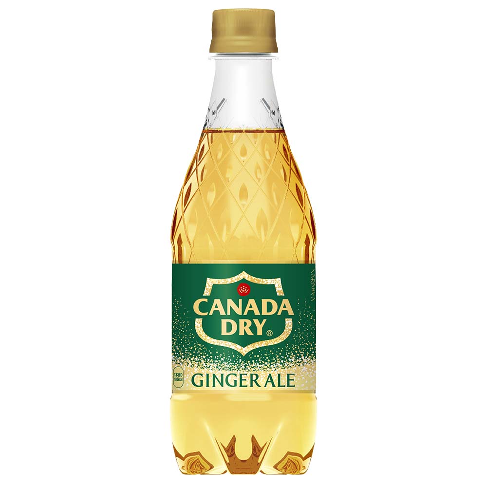 カナダドライ ジンジャーエール 500ml