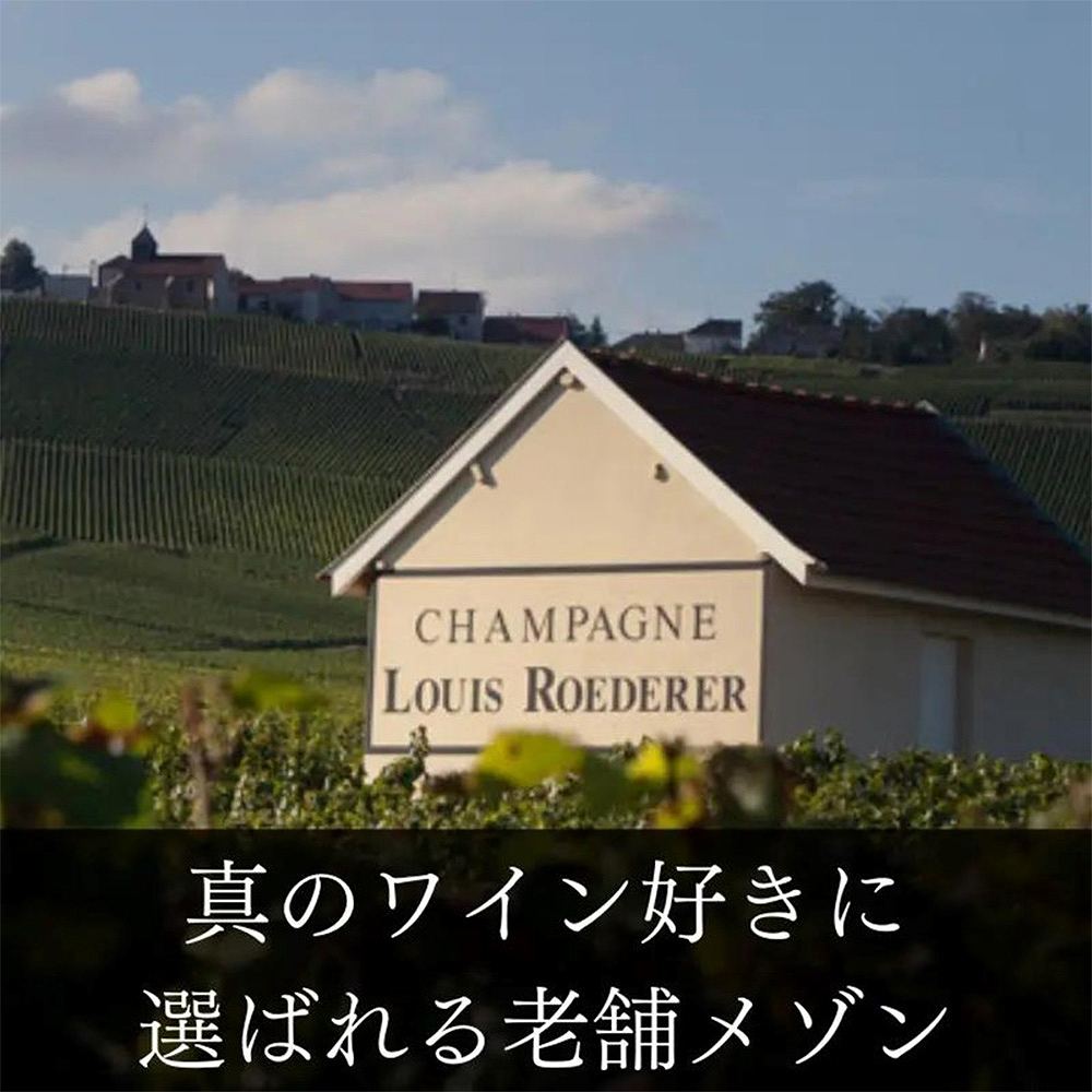 ルイ ロデレール コレクション 白 泡 750ml｜シャンパン