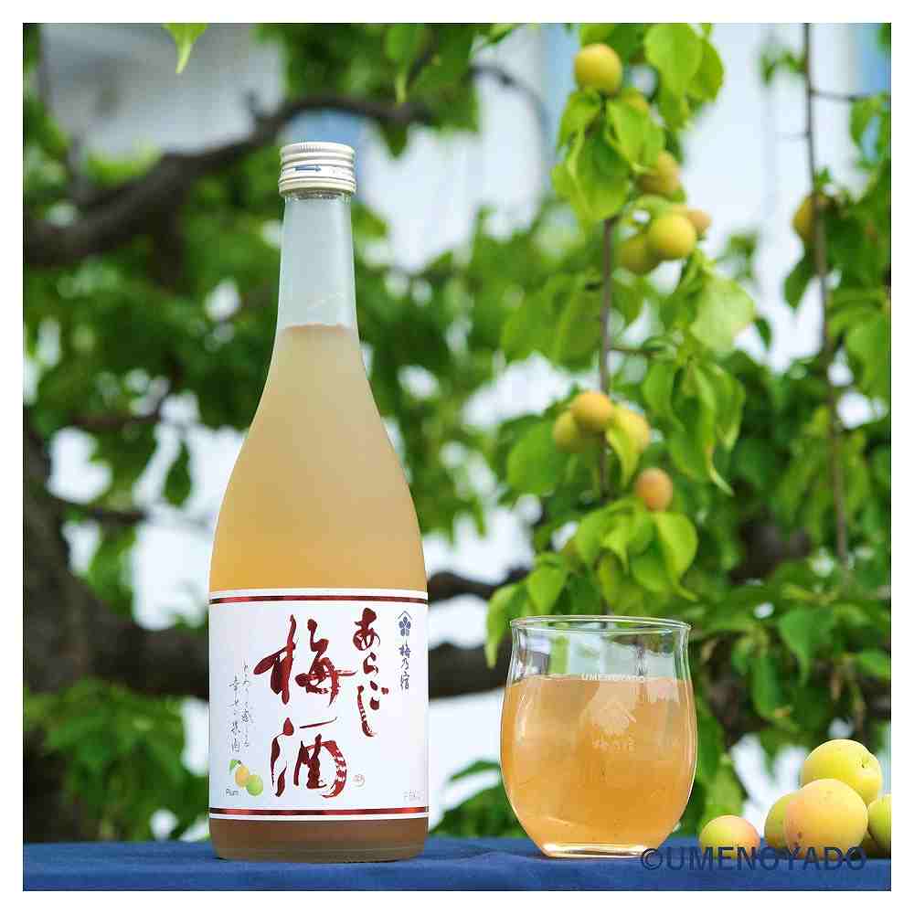 梅乃宿 あらごし梅酒 720ml｜梅酒｜格安・安いお酒の通販／配達なら