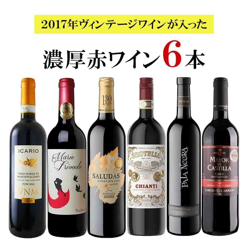 セット〕2017年ヴィンテージワインが入った濃厚赤 750ml×6本｜ワイン
