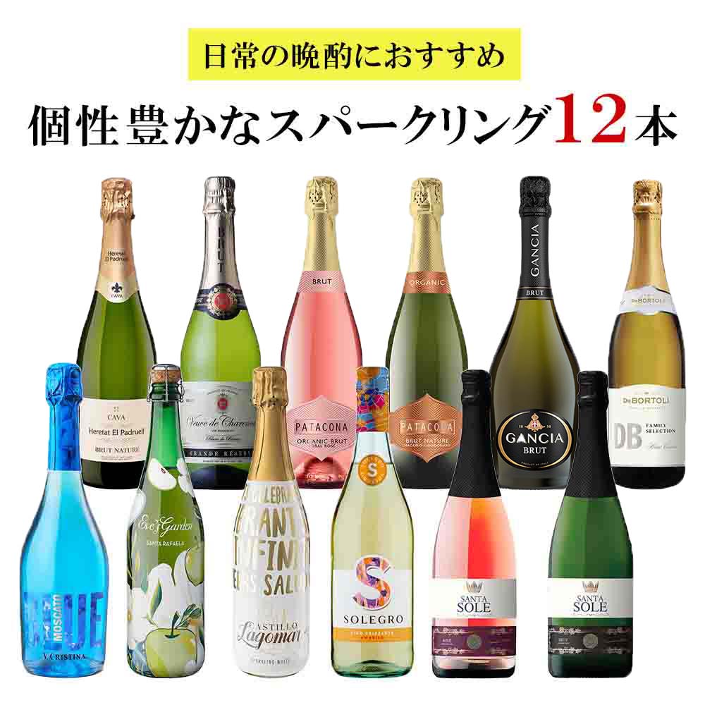 セット〕日常の晩酌におすすめ 個性豊かなスパークリング 750ml×12本