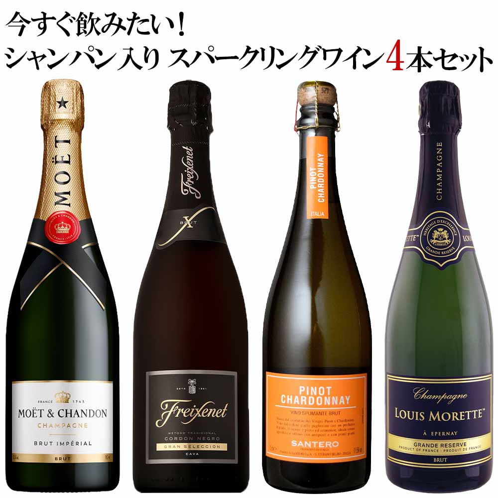 セット〕今すぐ飲みたい！シャンパン入りスパークリング4本セット