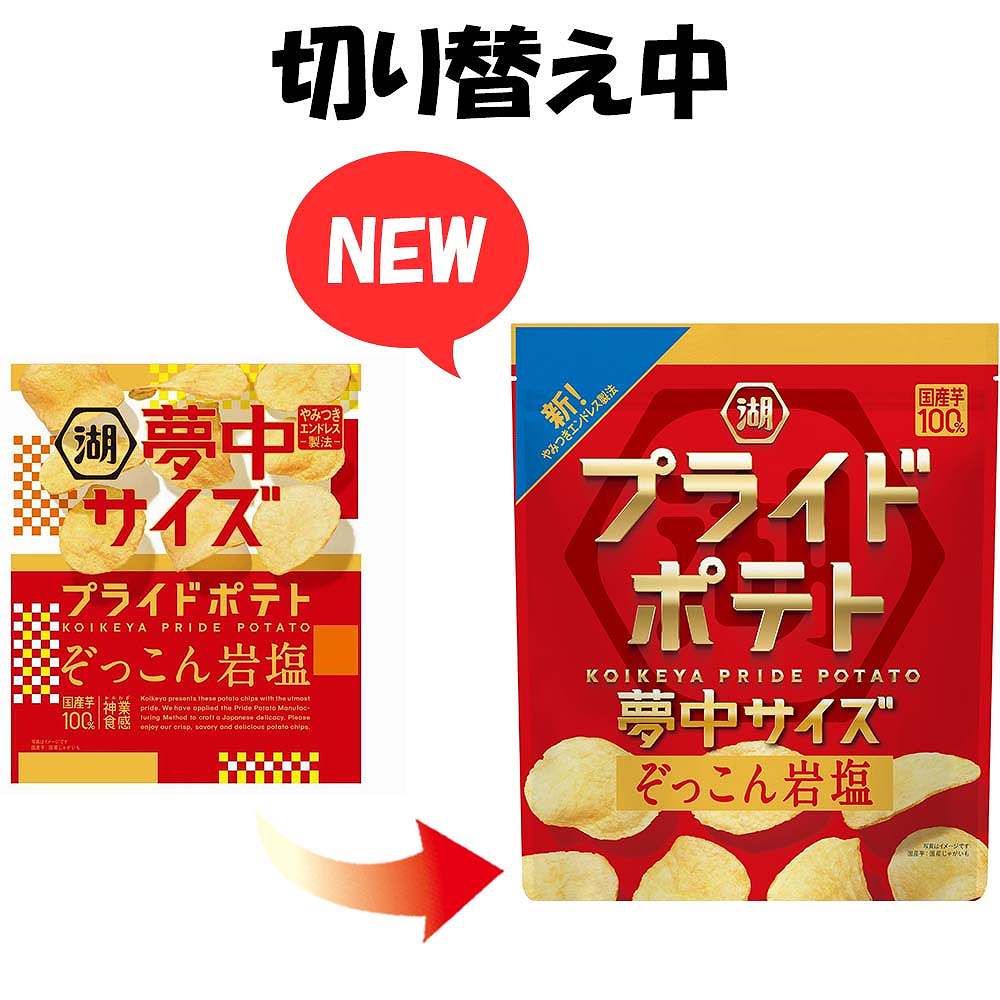 湖池屋 夢中サイズ プライドポテトぞっこん岩塩 102g