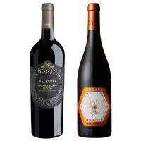 セット〕陰干しぶどうから造られたイタリア赤ワイン 2本セット 750ml×2