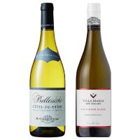 セット〕タイプの違う辛口白ワイン 飲み比べ2本セット 750ml×2本